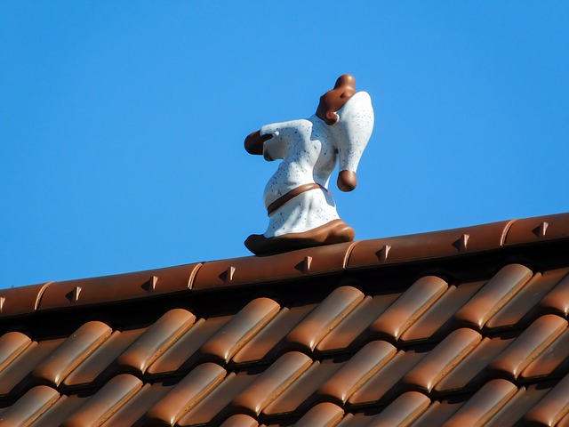 náměsíčník na střeše