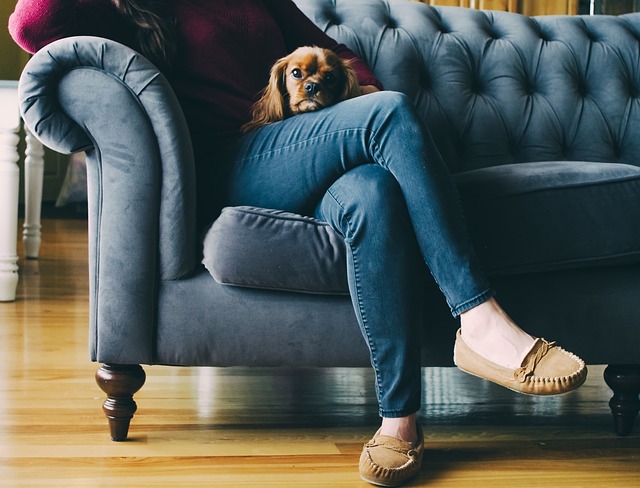 žena se psem na gauči