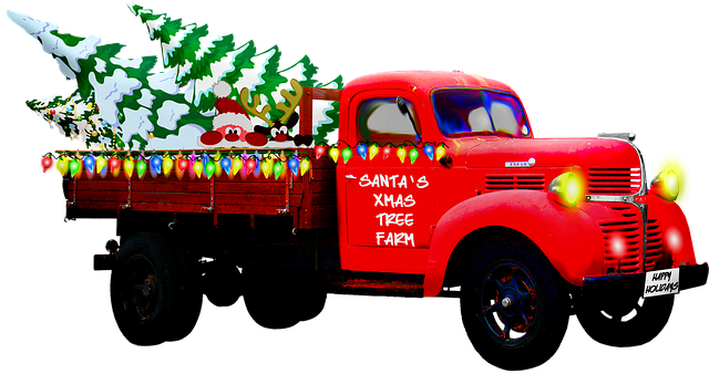 kamion převážející vánoční stromky